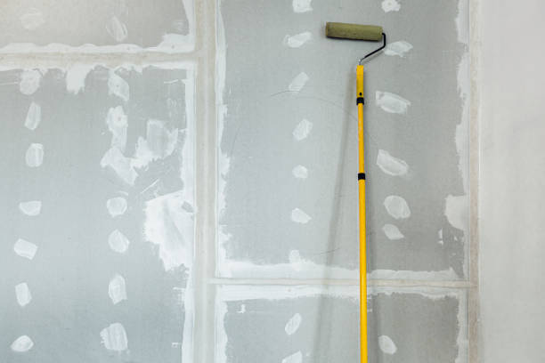 Best Drywall Texturing  in Kilmarnock, VA